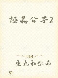 极品公子2封面