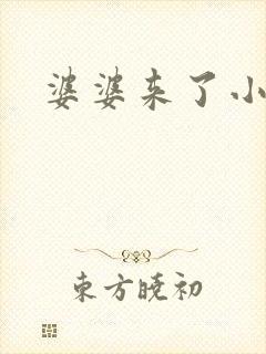 婆婆来了小说