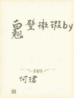白璧微瑕by连翘