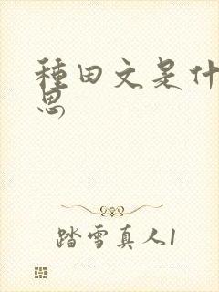 种田文是什么意思