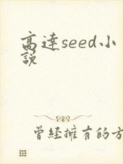 高达seed小说封面