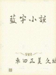 蓝宇小说封面