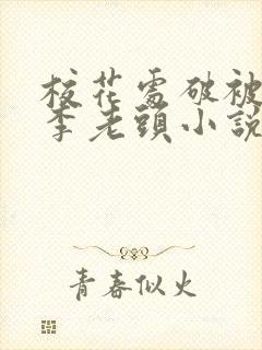 校花处破被灌满李老头小说