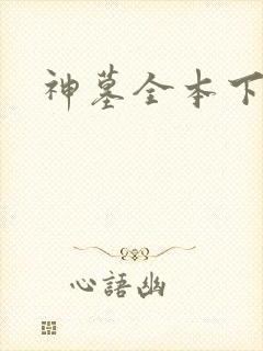 神墓全本下载封面
