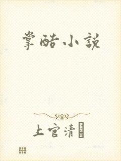 掌酷小说