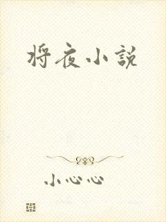 将夜小说封面