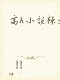 高h小说辣文封面