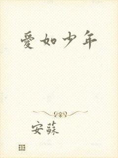 爱如少年