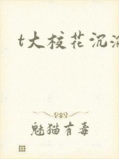 t大校花沉沦