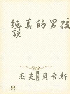 纯真的男孩子小说