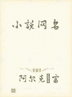 小说网名