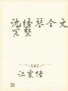 沈绣琴全文阅读完整封面