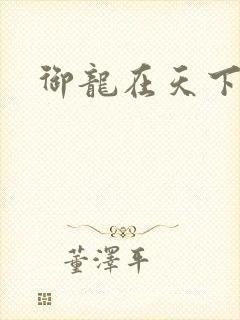 御龙在天下载