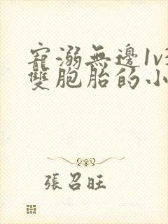 宠溺无边1v3双胞胎的小说