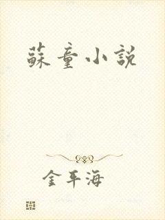 苏童小说