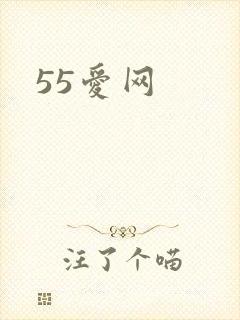 55爱网封面