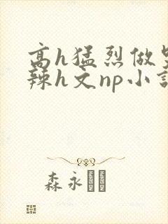 高h猛烈做哭高辣h文np小说