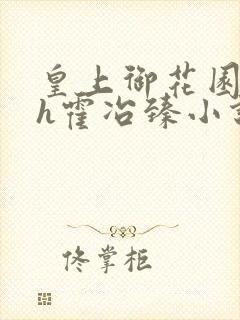 皇上御花园hlh霍冶臻小说