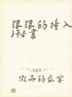 狠狠的撞入(h)秘书