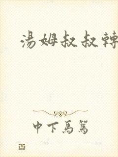 汤姆叔叔转接口