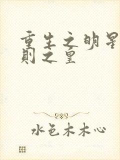 重生之明星潜规则之皇封面