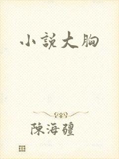 小说大胸