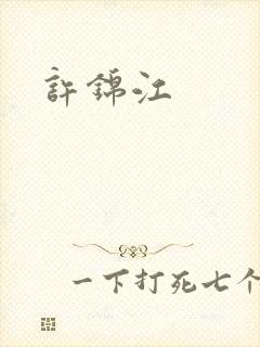 许锦江封面