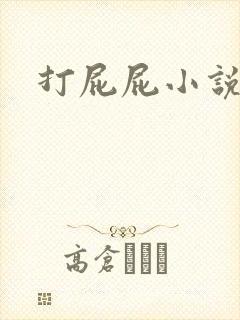 打屁屁小说
