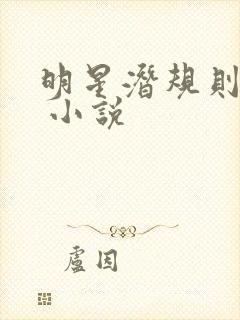 明星潜规则之皇 小说
