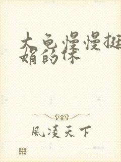 大龟慢慢挺进张娟的休
