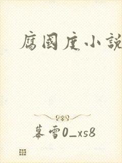 腐国度小说