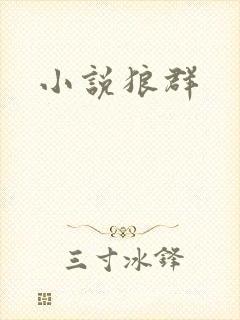小说狼群封面