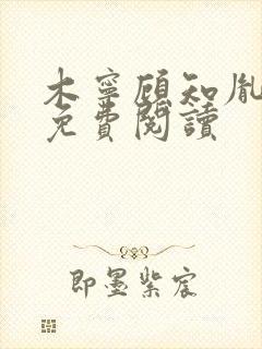 木宁顾知胤小说免费阅读