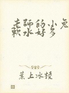老师的小兔子好软水好多