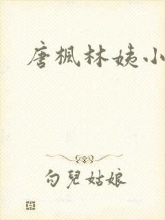 唐枫林姨小说