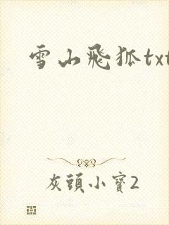 雪山飞狐txt