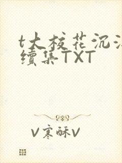 t大校花沉浮录续集TXT
