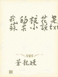 我的校花是福姬苏柔小说txt