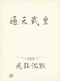 通天武皇封面