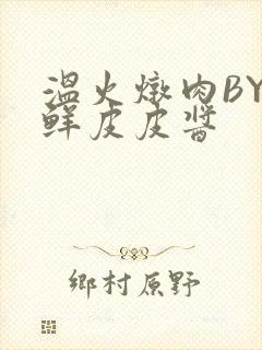 温火炖肉BY海鲜皮皮酱