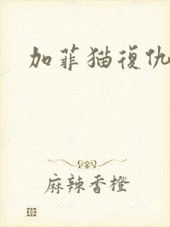 加菲猫复仇记封面