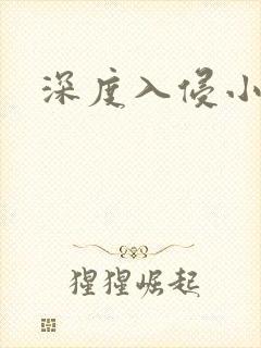深度入侵小说