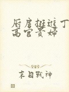 厨房挺进丁字裤高官贵妇