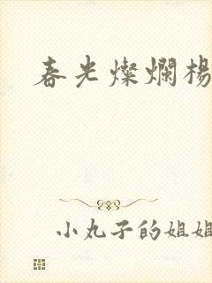 春光灿烂杨家将封面