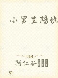 小男生阳帆封面