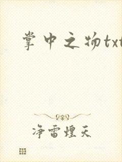掌中之物txt