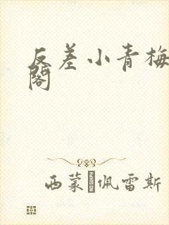 反差小青梅笔趣阁