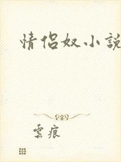情侣奴小说封面