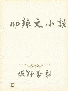 np辣文小说
