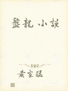 盘龙 小说